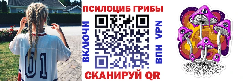 где найти наркотики Луховицы Галлюциногенные грибы мицелий